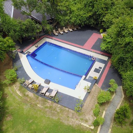 Nice Place Resort ダンブッラ エクステリア 写真