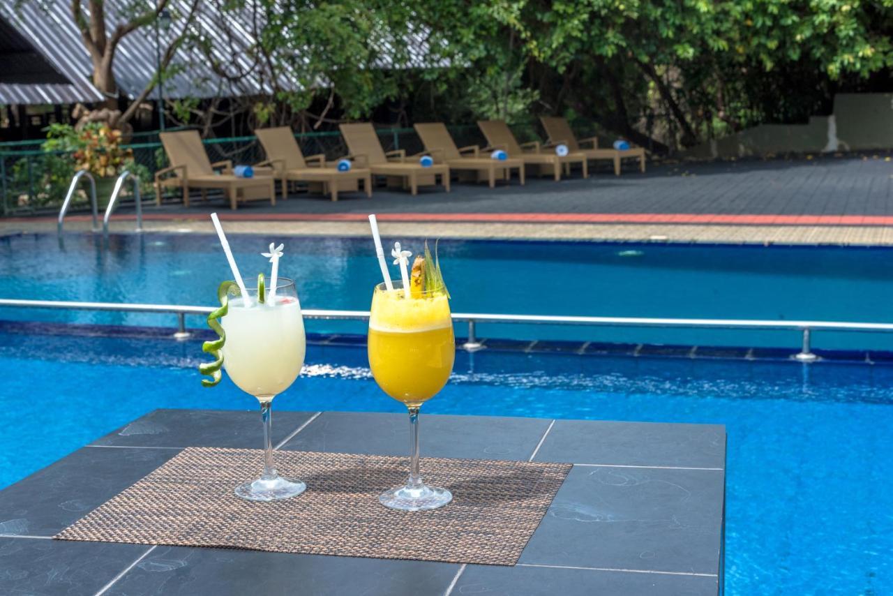 Nice Place Resort ダンブッラ エクステリア 写真