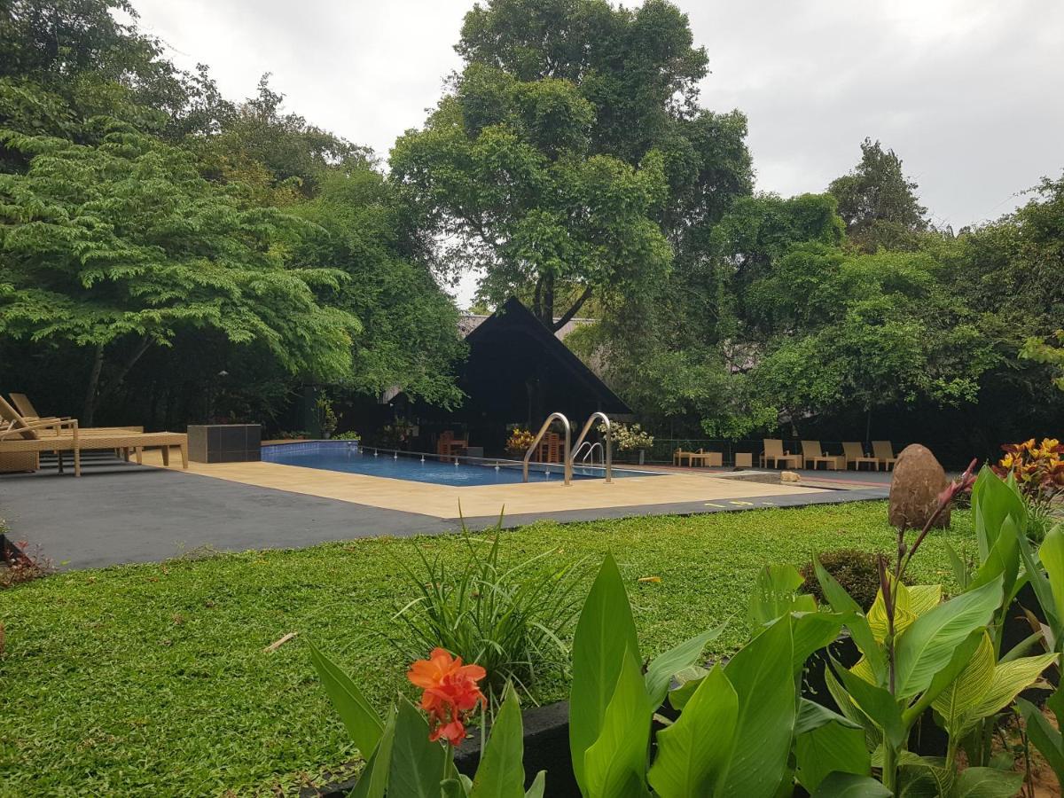 Nice Place Resort ダンブッラ エクステリア 写真